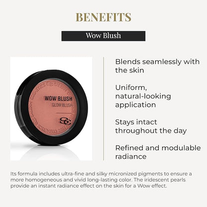 SALERM - Compact Powder Blush - Wow Blush - 8 g - Tone Rose Gold - Illuminating Blush - with Iridescent Pigments - Long-Lasting - Soft and Lightweight Texture - Buildable Coverage