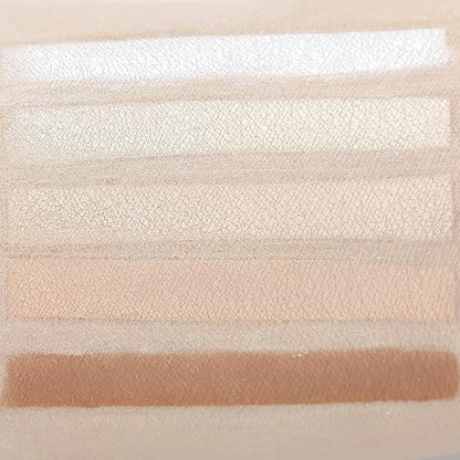 5 Color Powder Kit Face Makeup Corrector highlight Countour With White Powder Net 40g