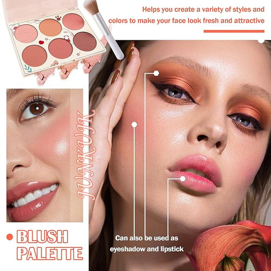 6 Color Shimmer Silky Matte Blush & Contour Highlighter Set With Makeup Brush