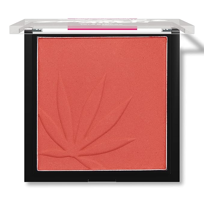 wet n wild Mood Cannabis Sativa Seed Oil Infused Makeup, Blush Complexion Enhancer Zero F's, Natural Cinnamon Infused (1115236)