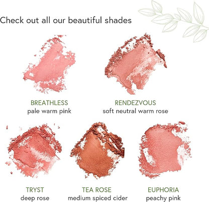 Pressed Powder Foundation + Blush | Malibu + Rendezvous | For Medium Skin Tones