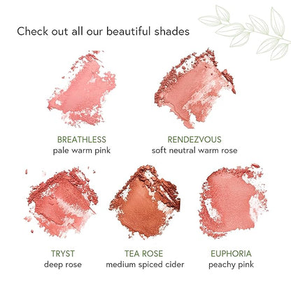Pressed Powder Foundation + Blush | Supernatural + Breathless | For Light Skin Tones